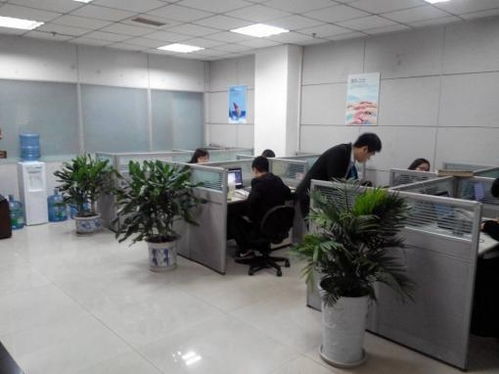 青島梓塾投資咨詢(xún) 專(zhuān)業(yè)經(jīng)濟(jì)信息咨詢(xún)服務(wù)的價(jià)值與優(yōu)勢(shì)